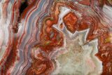 Polished Crazy Lace Agate - Mexico #180543-2